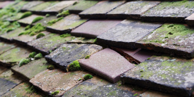 Llandevenny roof repair costs